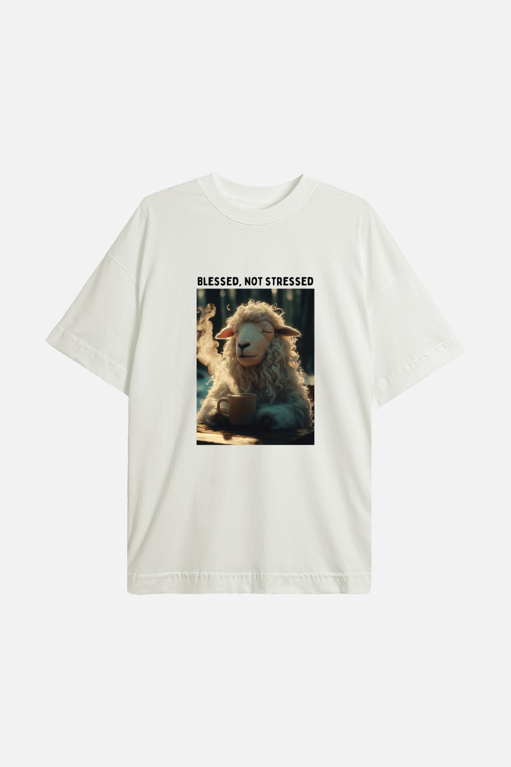 Camiseta Basic Oversized Dois ou Mais - Blessed not Stressed