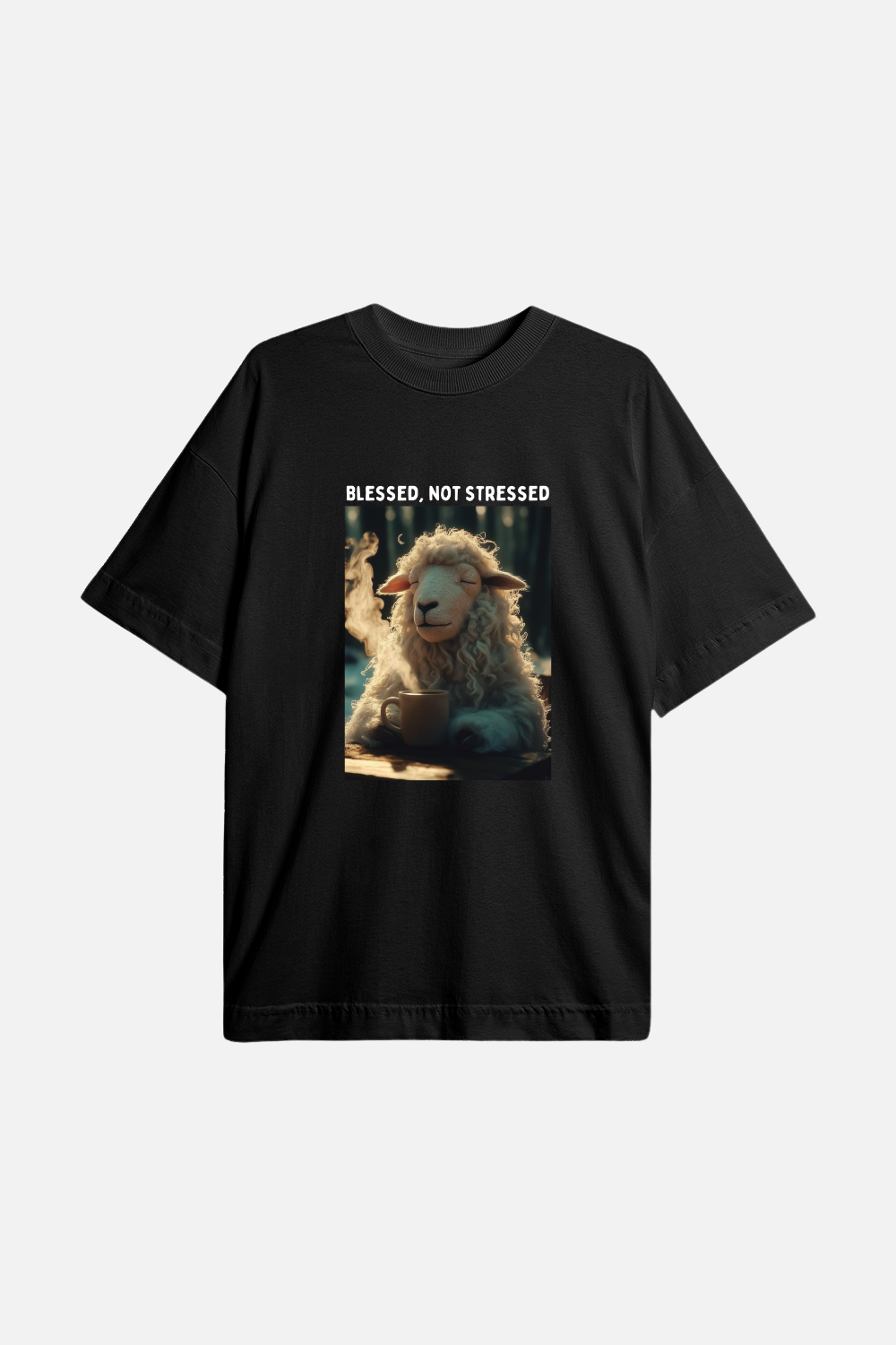Camiseta Basic Oversized Dois ou Mais - Blessed not Stressed