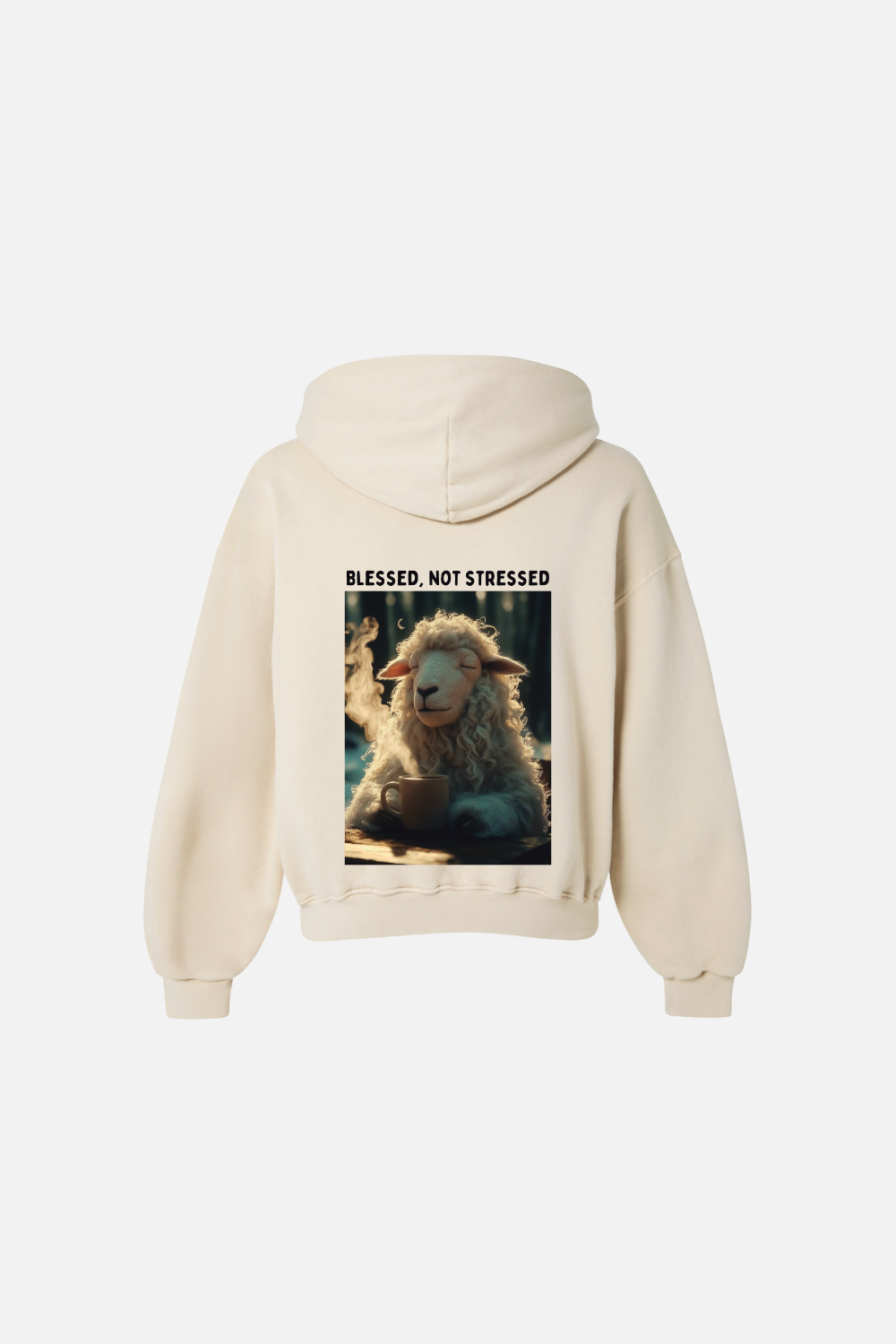 Moletom Premium Boxy Dois ou Mais - Blessed not Stressed