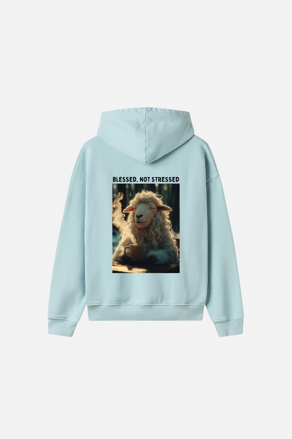 Moletom Premium Oversized Dois ou Mais -Blessed not Stressed