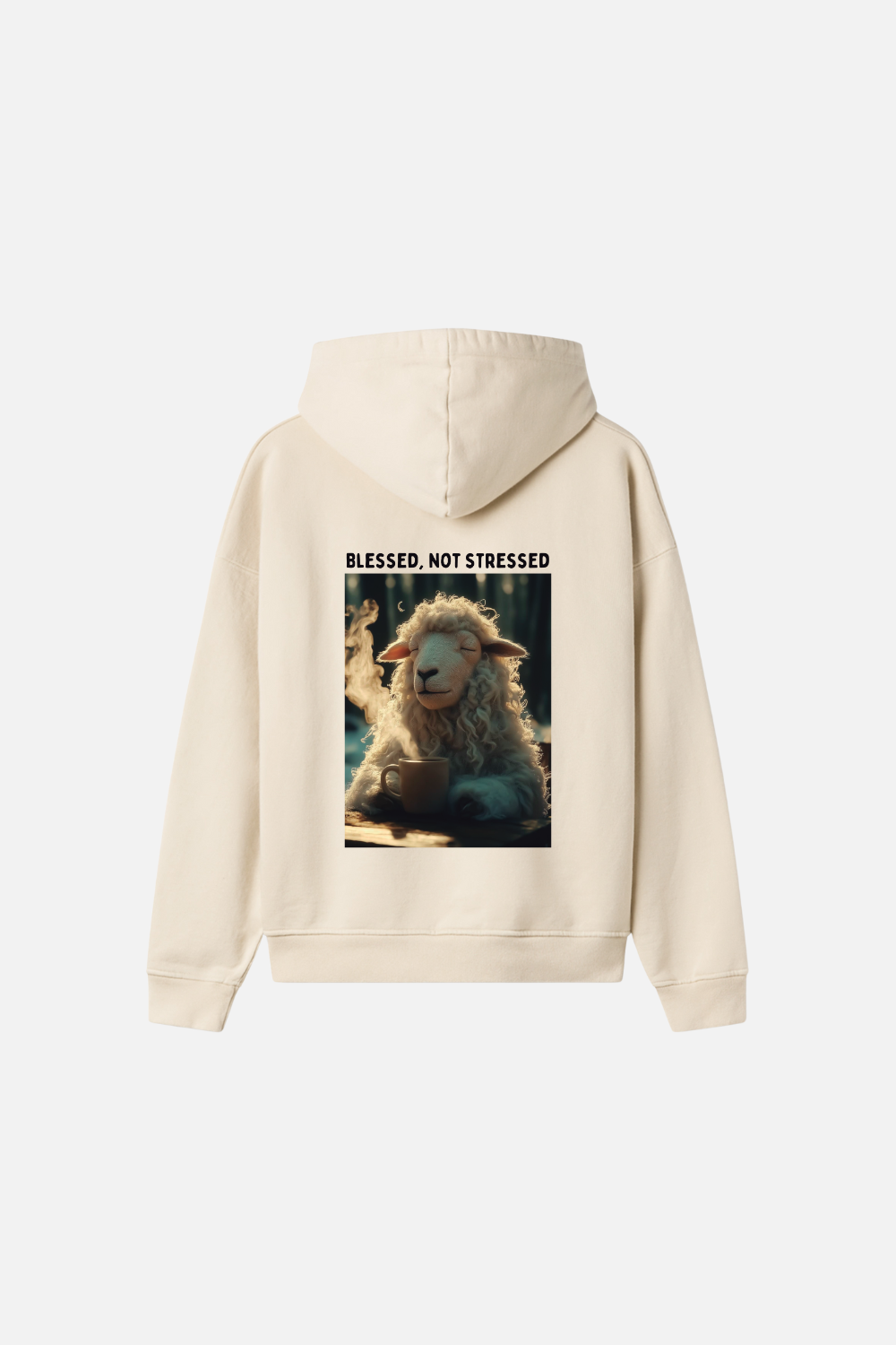 Moletom Premium Oversized Dois ou Mais -Blessed not Stressed