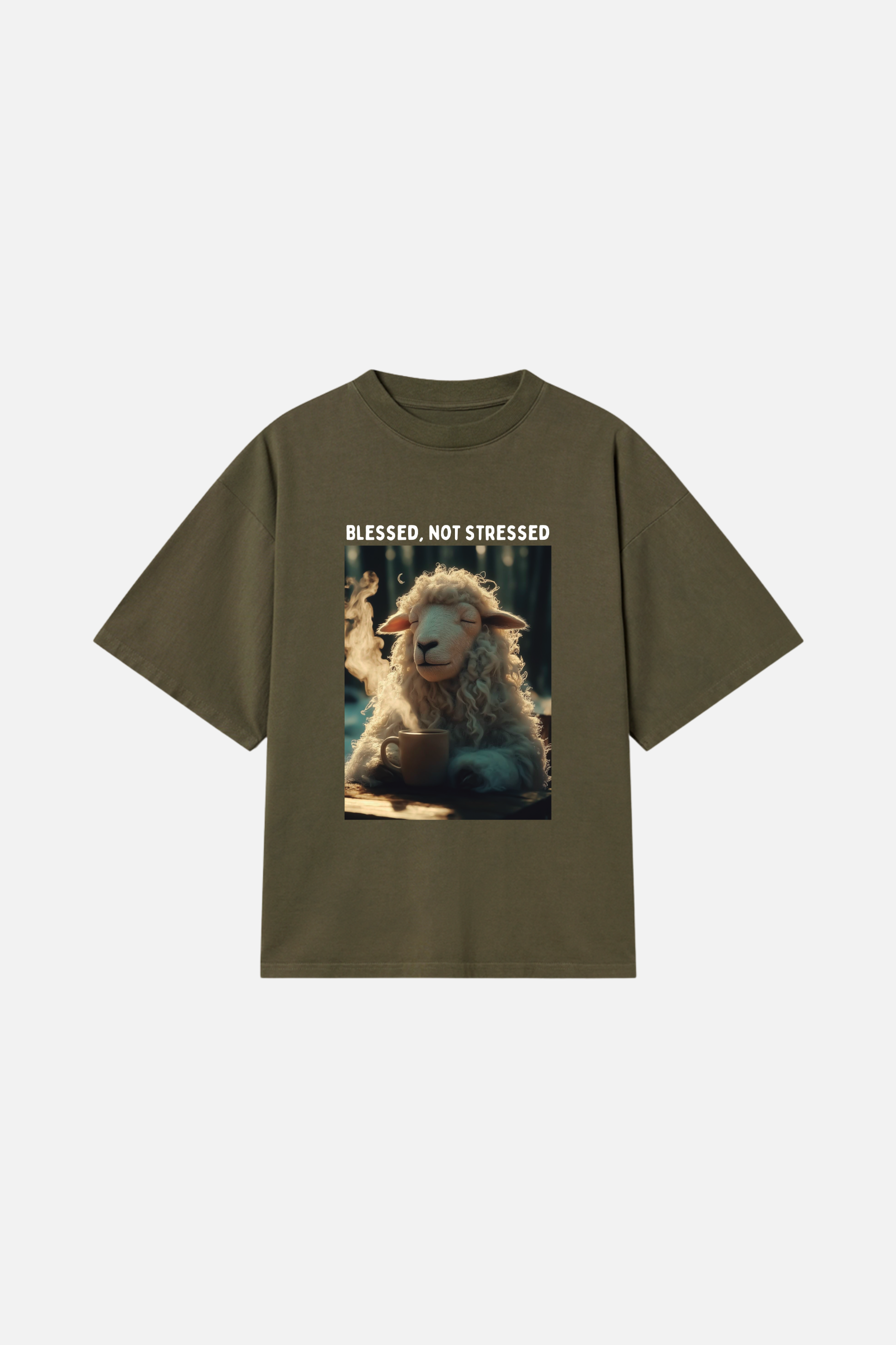 Camiseta Heavy Boxy Dois ou Mais - Blessed not Stressed
