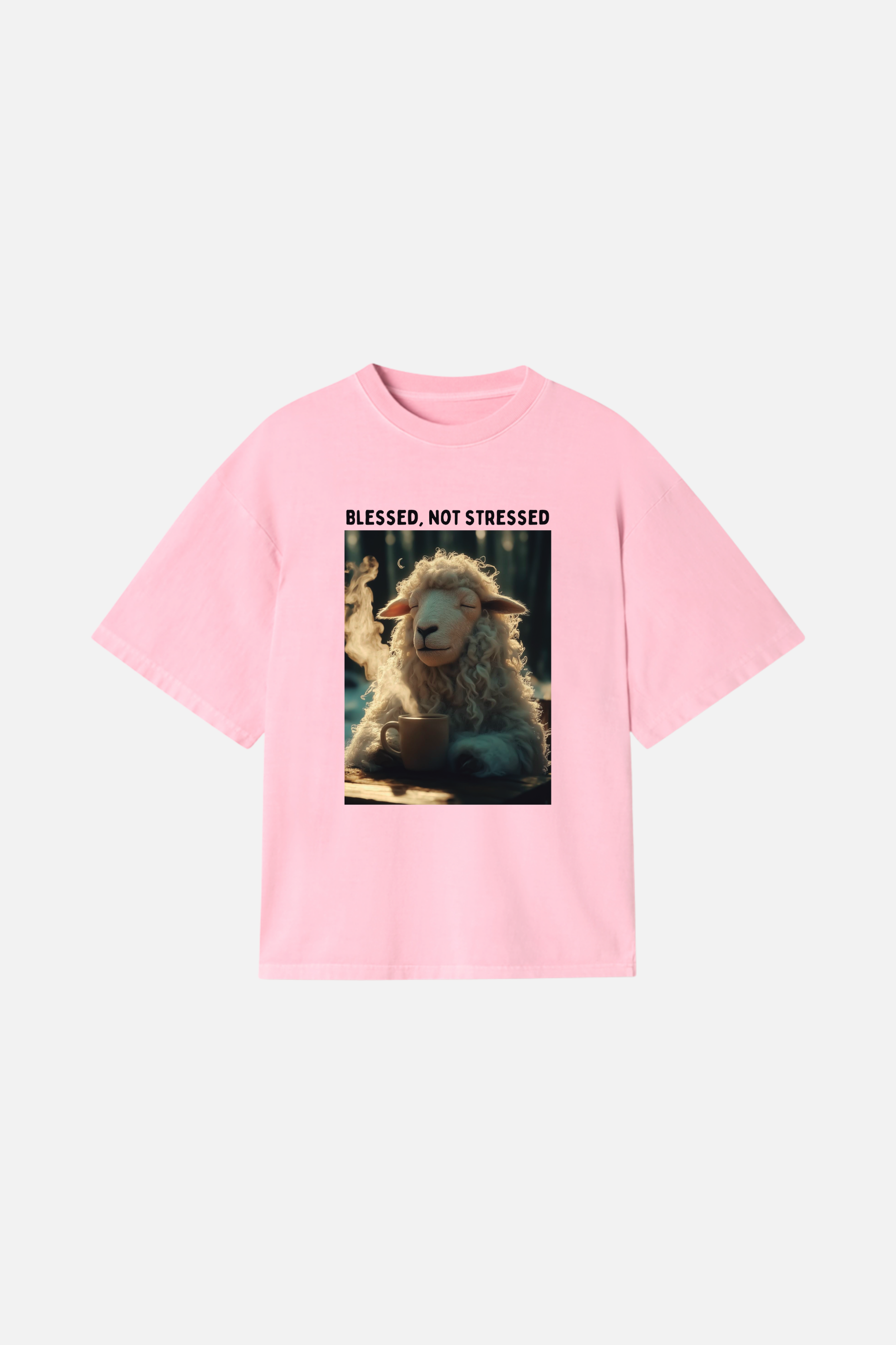Camiseta Heavy Boxy Dois ou Mais - Blessed not Stressed