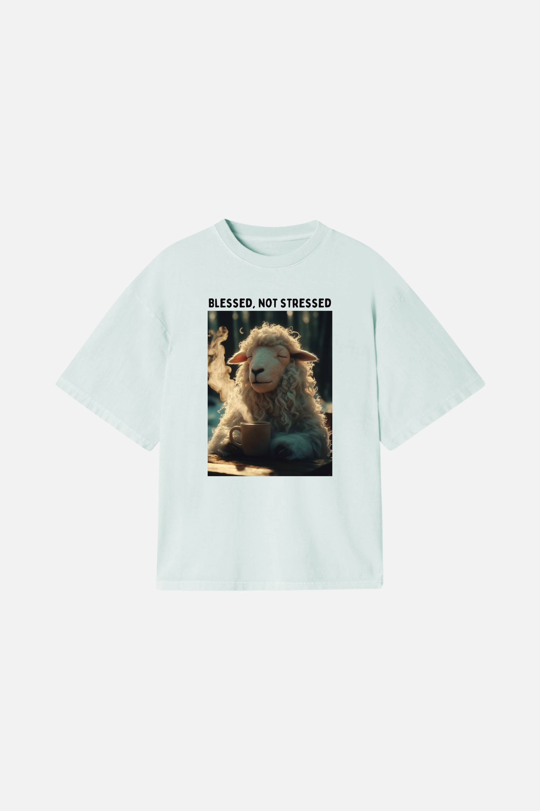 Camiseta Heavy Boxy Dois ou Mais - Blessed not Stressed