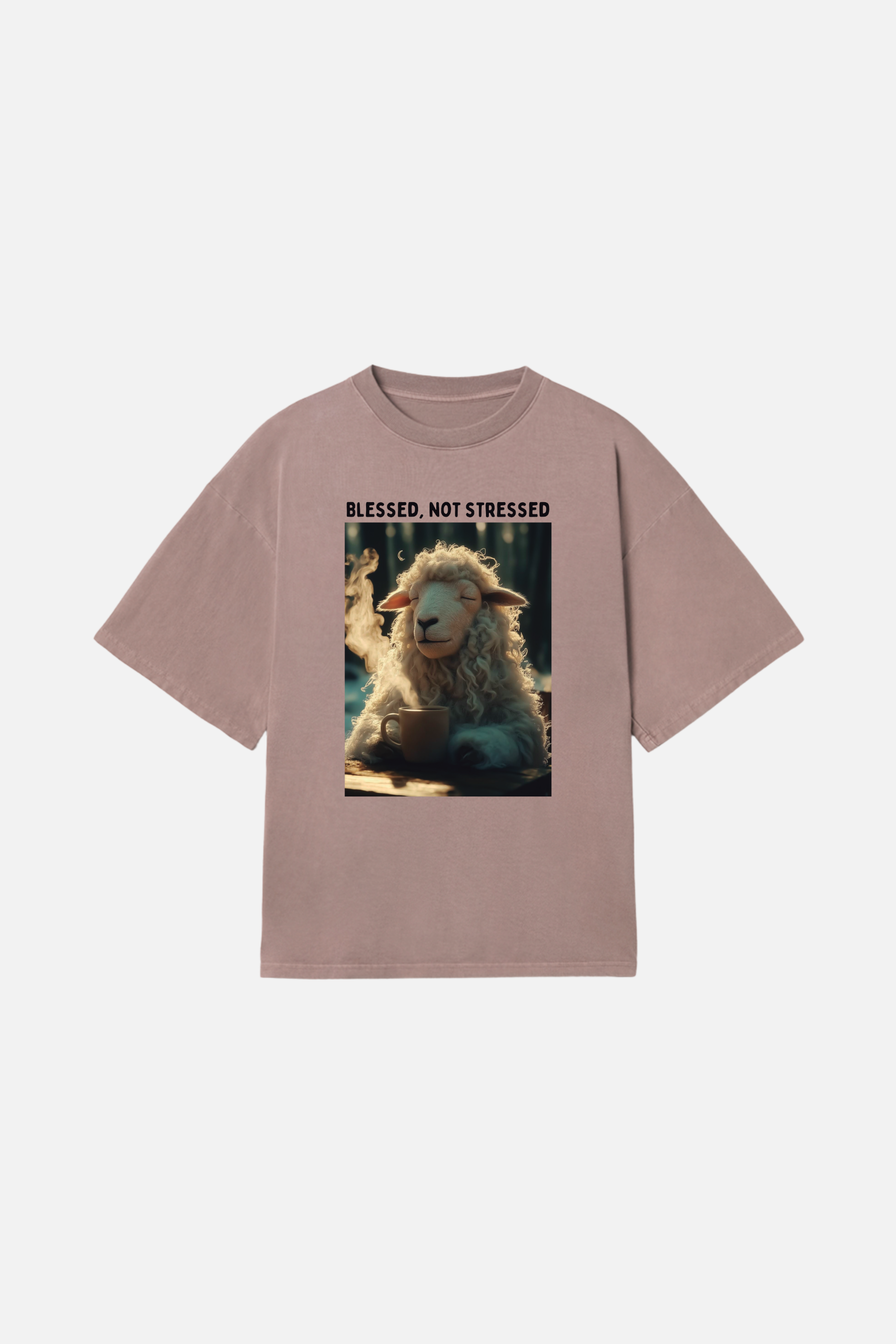 Camiseta Heavy Boxy Dois ou Mais - Blessed not Stressed