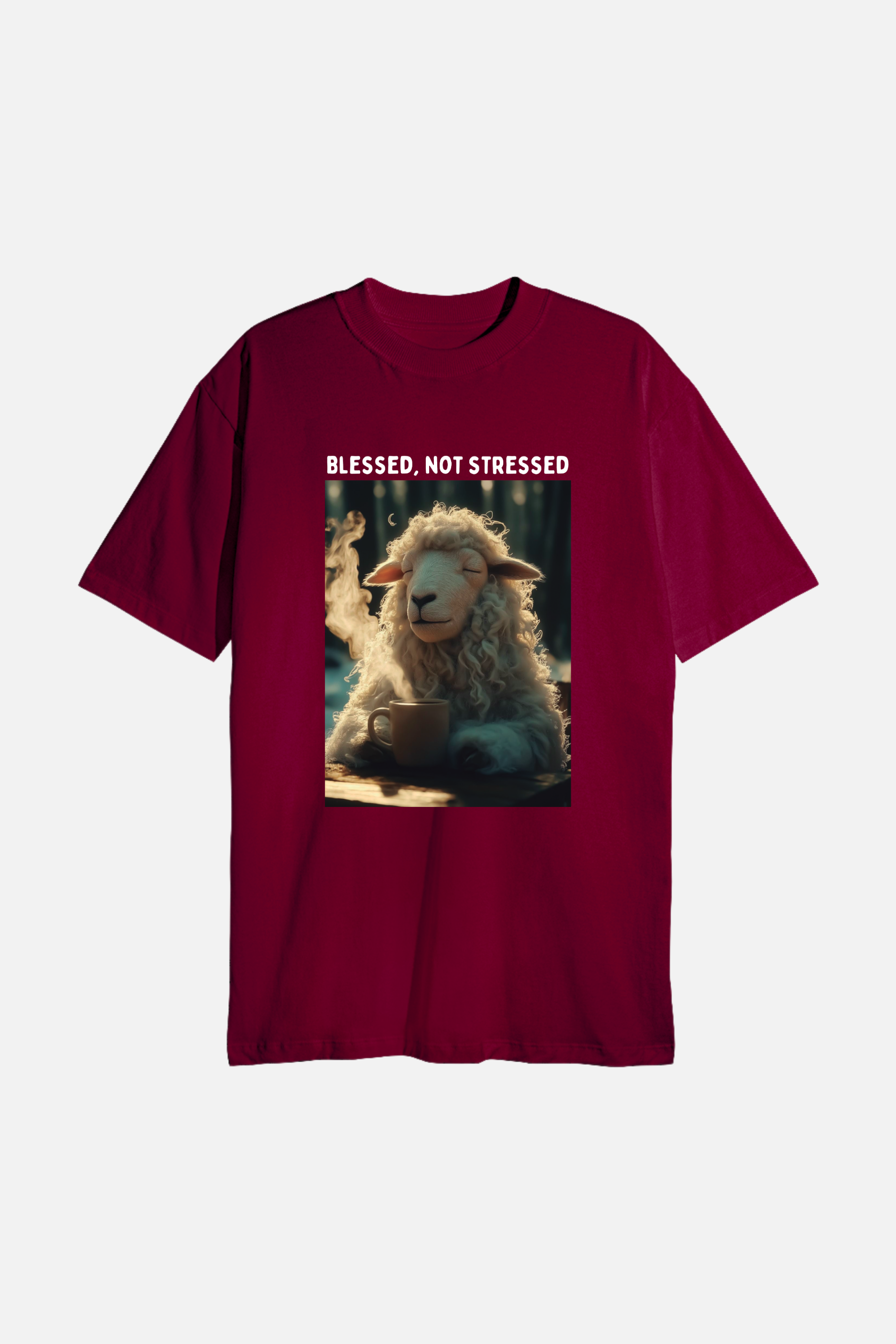 Camiseta Basic Streetwear Dois ou Mais - Blessed not Stressed