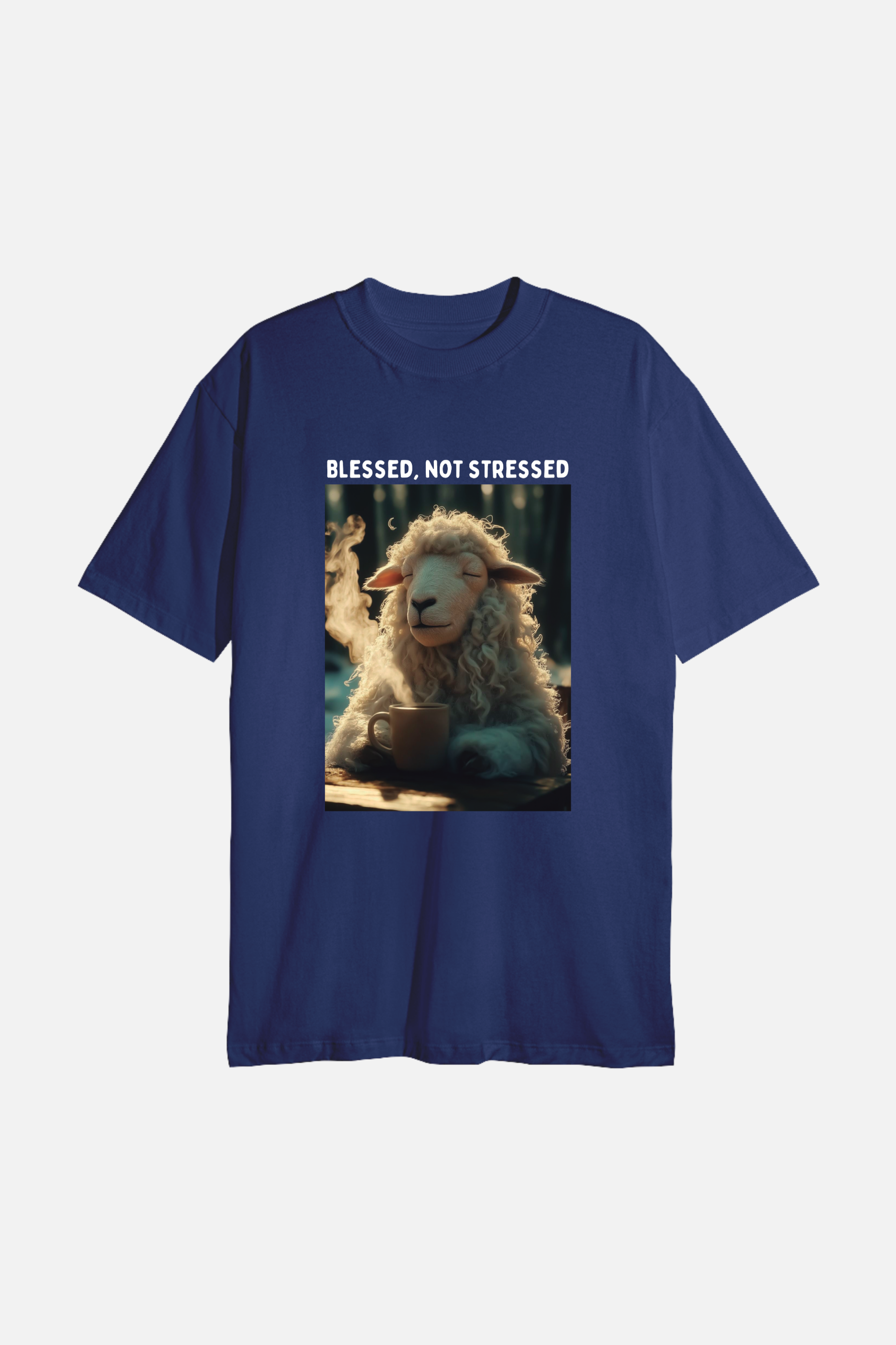 Camiseta Basic Streetwear Dois ou Mais - Blessed not Stressed