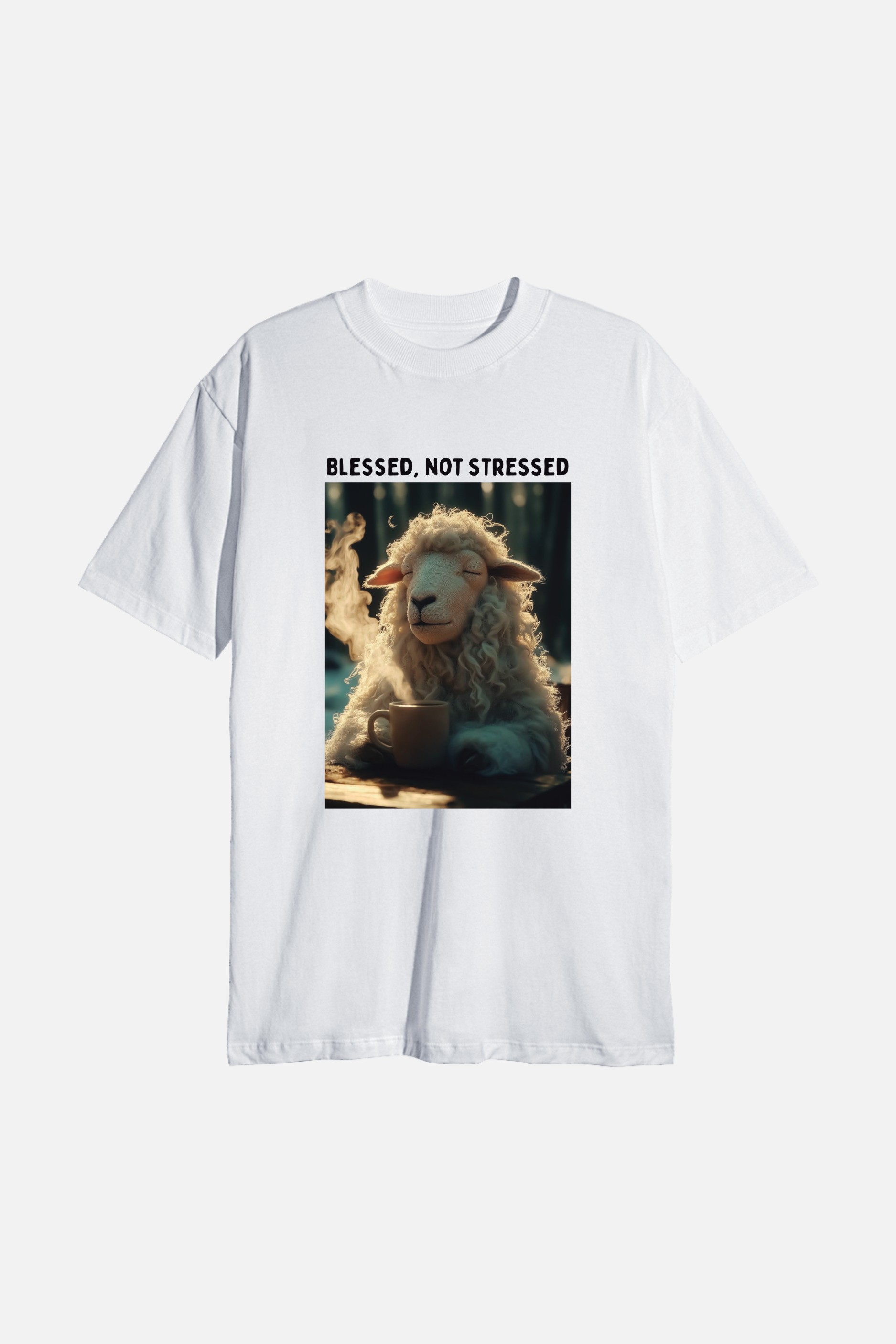 Camiseta Basic Streetwear Dois ou Mais - Blessed not Stressed