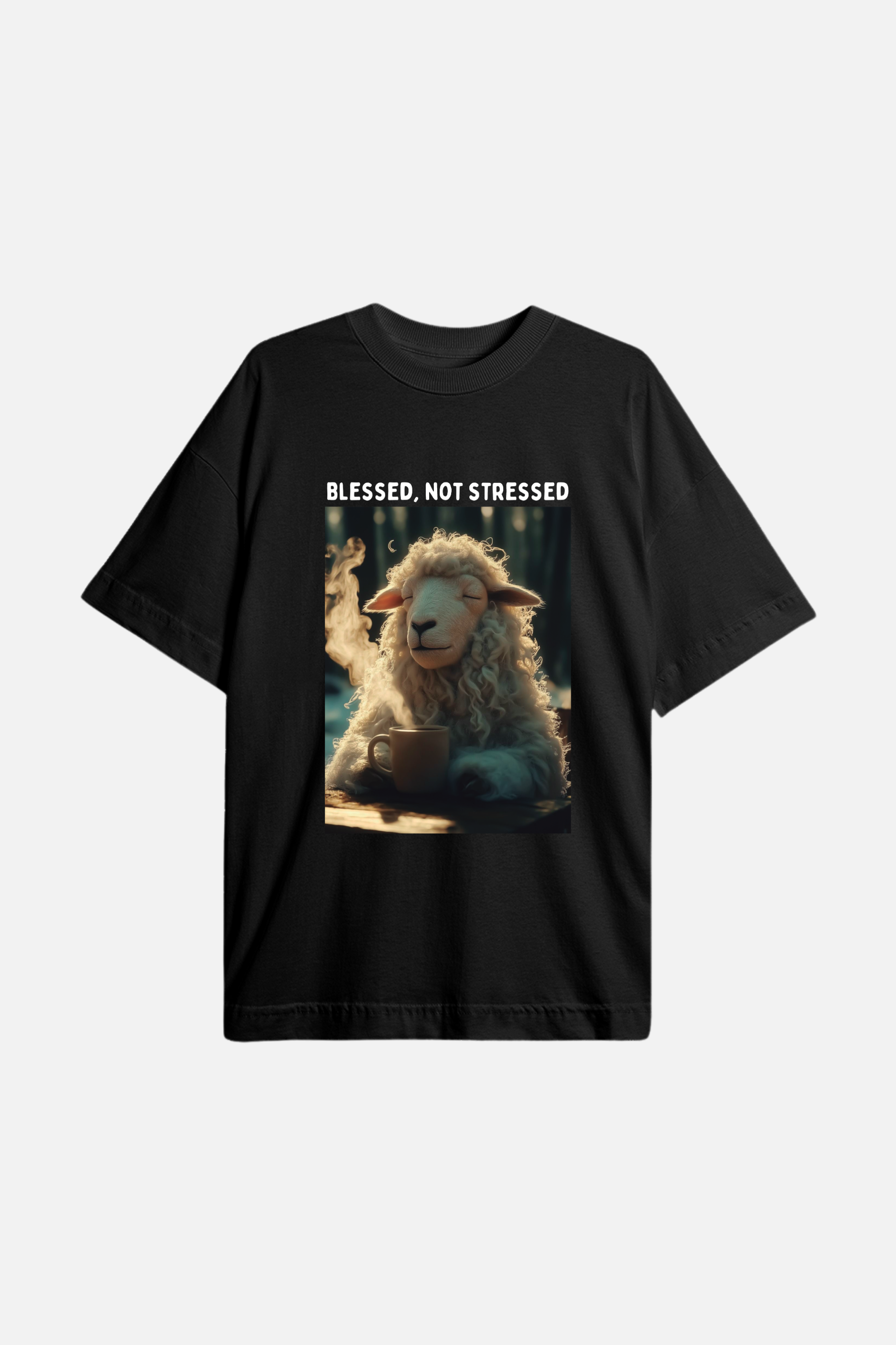 Camiseta Basic Streetwear Dois ou Mais - Blessed not Stressed