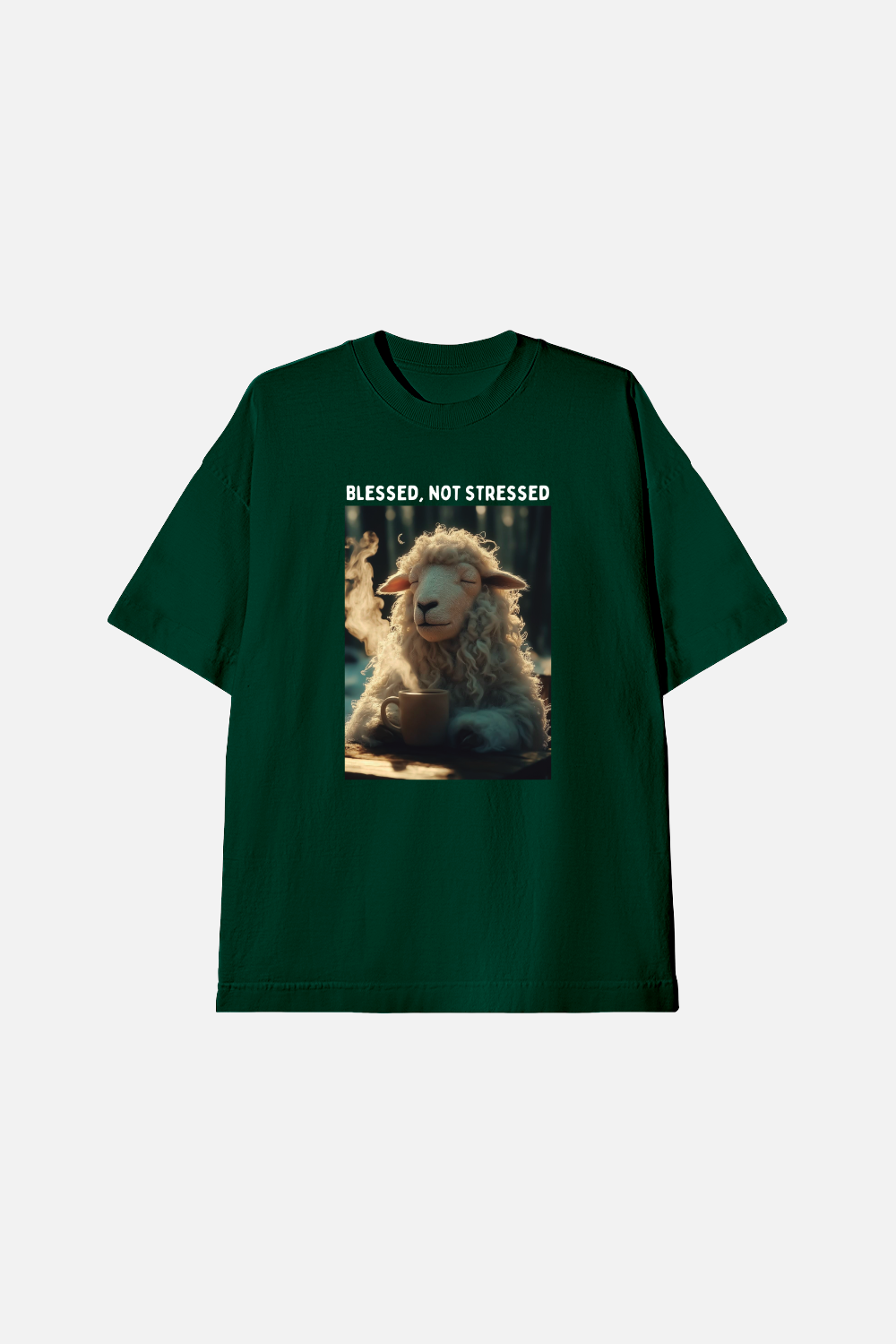 Camiseta Oversized Heavy Dois ou Mais - Blessed not Stressed
