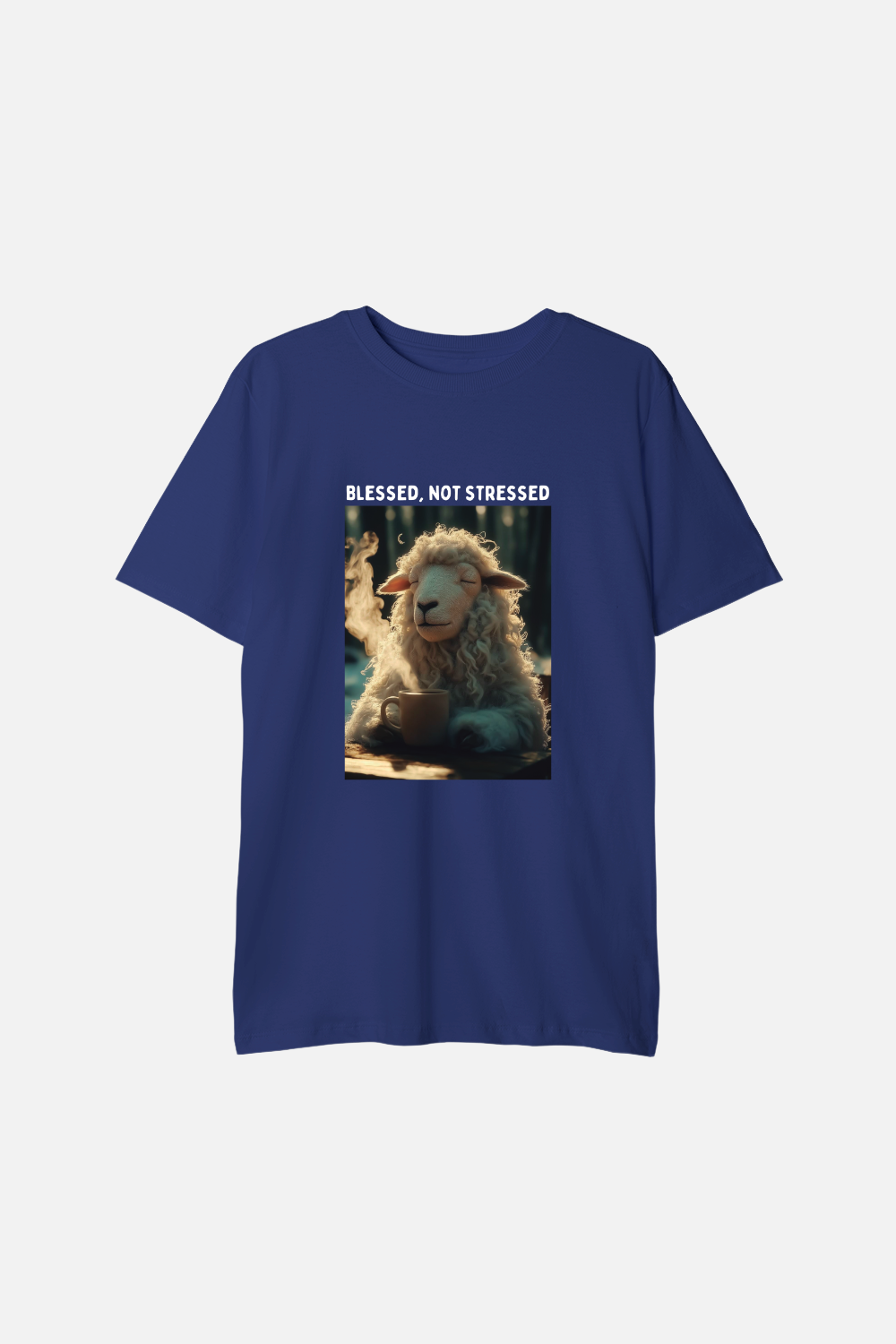 Camiseta Basic Infantil Dois ou Mais - Blessed not Stressed