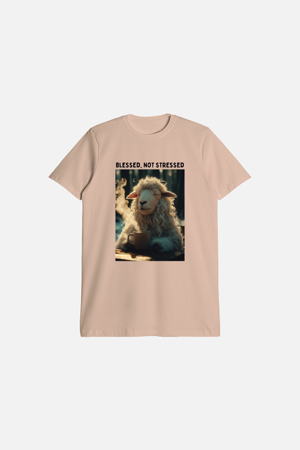 Camiseta Slim Cotton Dois ou Mais - Blessed not Stressed