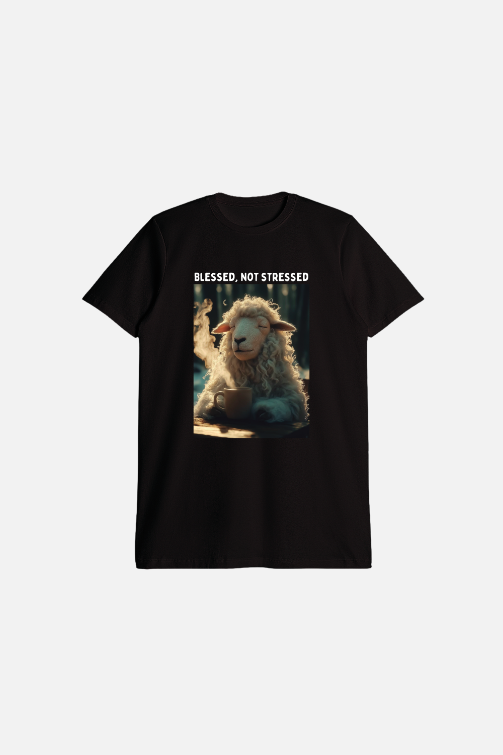 Camiseta Slim Cotton Dois ou Mais - Blessed not Stressed