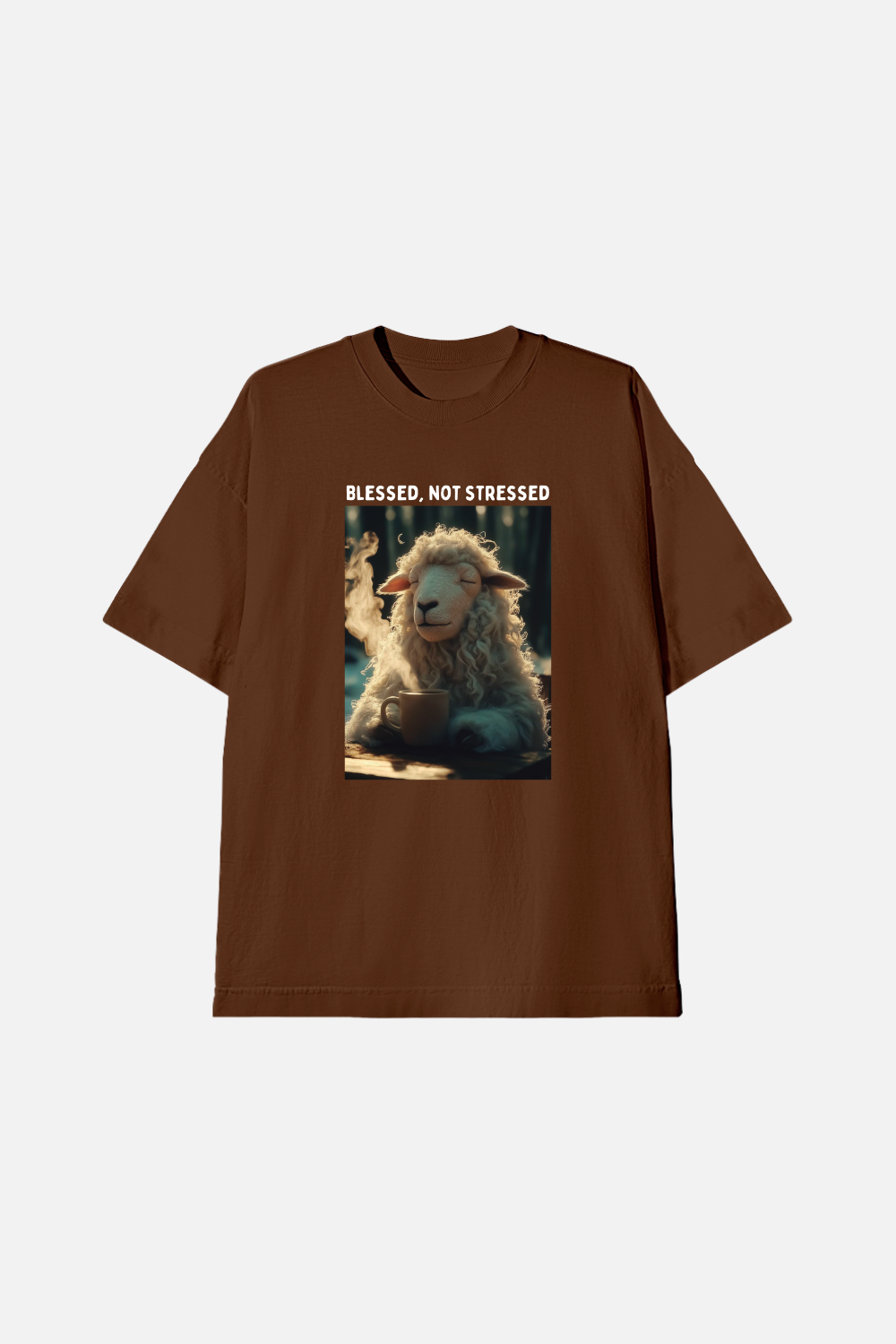 Camiseta Oversized Heavy Dois ou Mais - Blessed not Stressed
