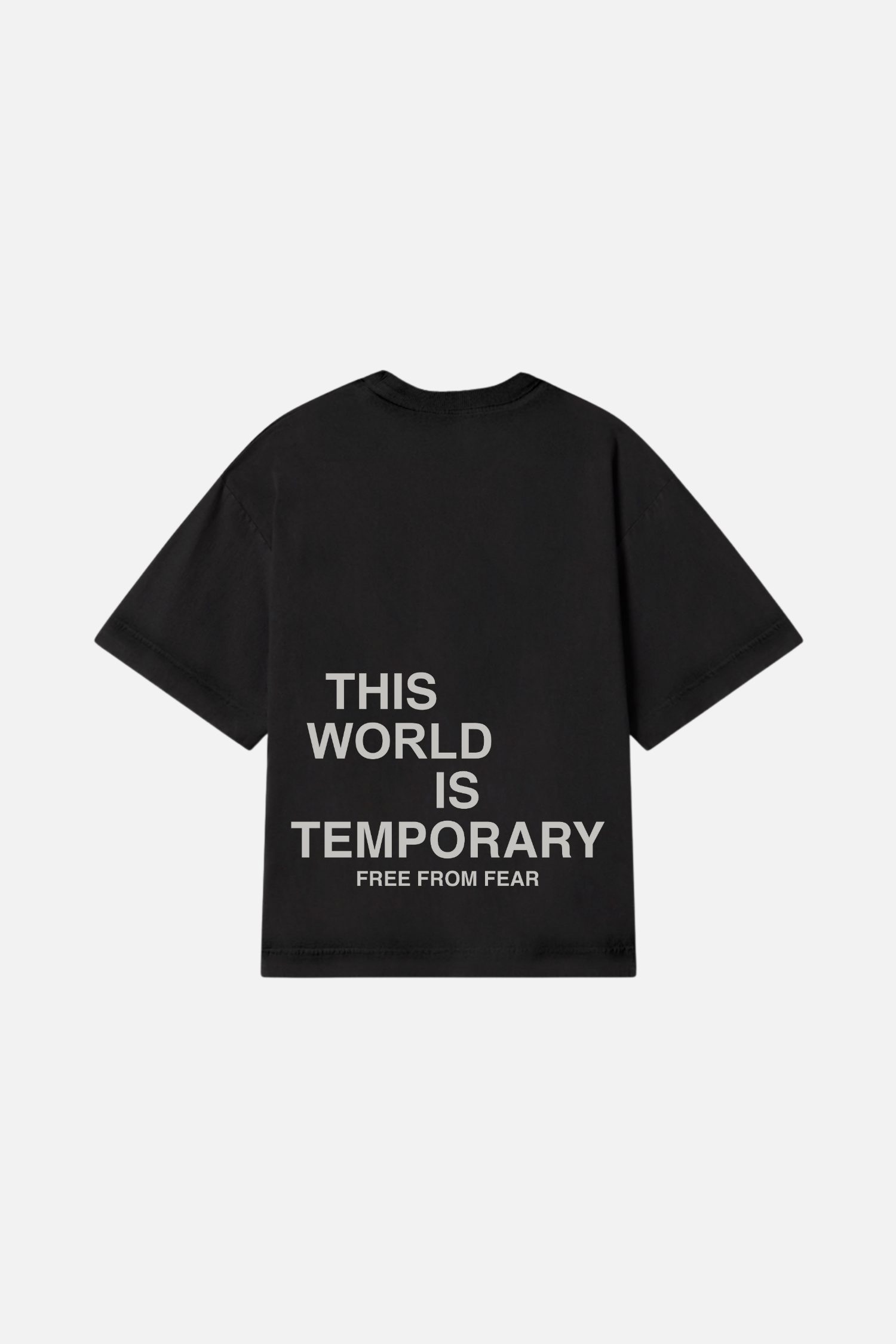 Camiseta Heavy Boxy Dois ou Mais - This World