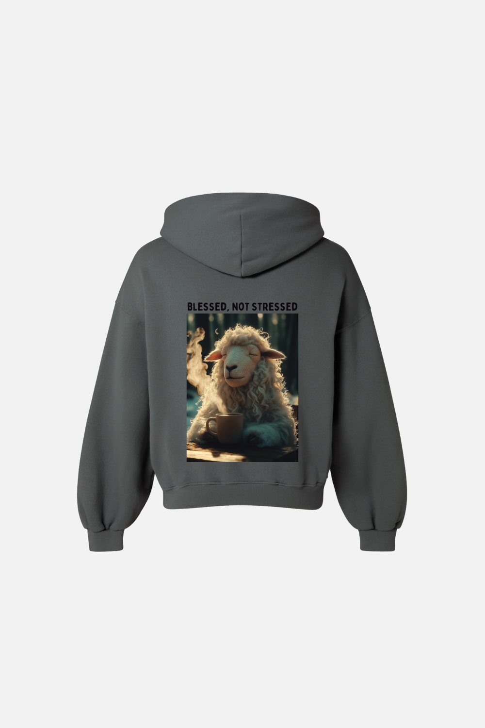 Moletom Premium Boxy Dois ou Mais - Blessed not Stressed