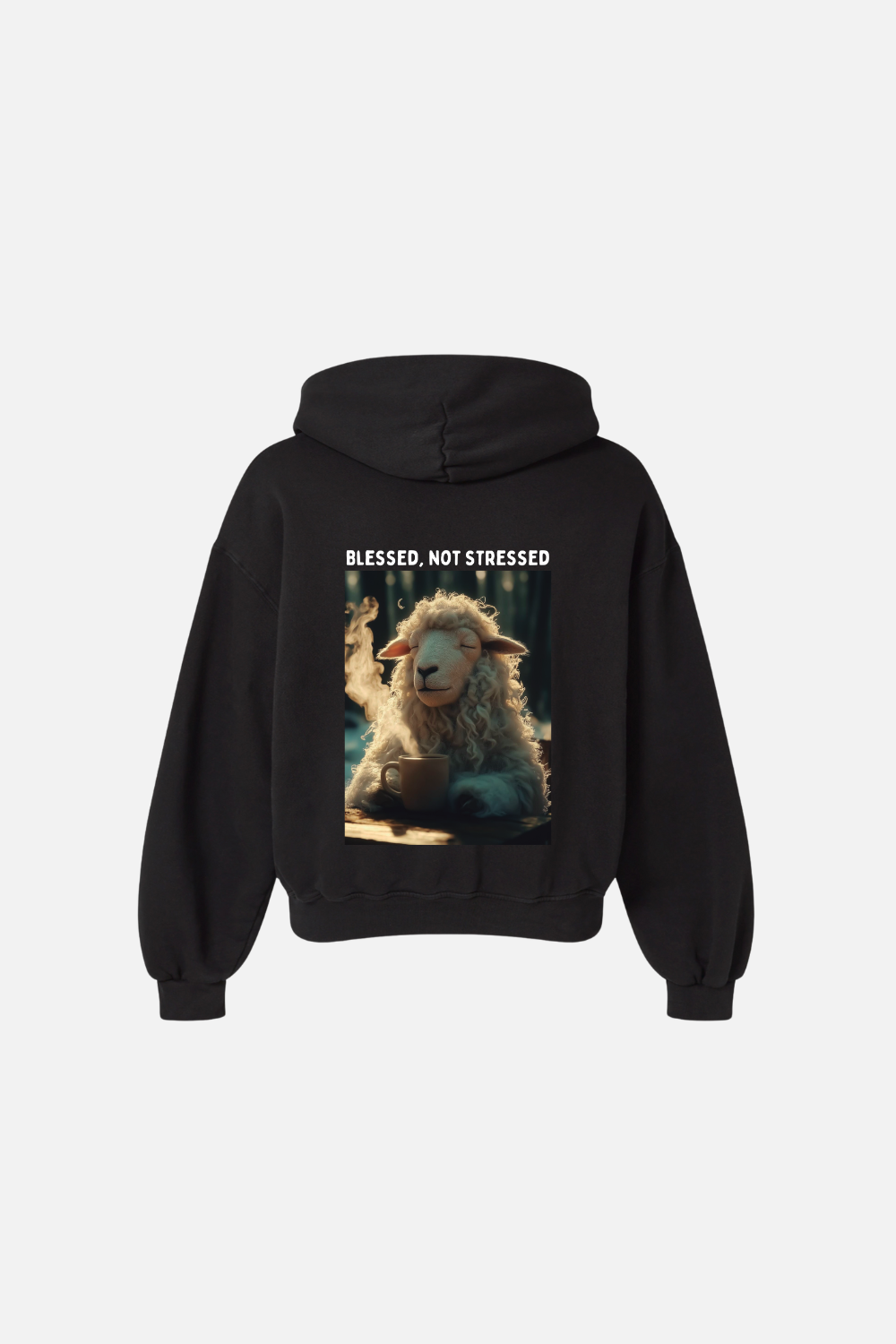 Moletom Premium Boxy Dois ou Mais - Blessed not Stressed